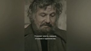 интересное видео клипы