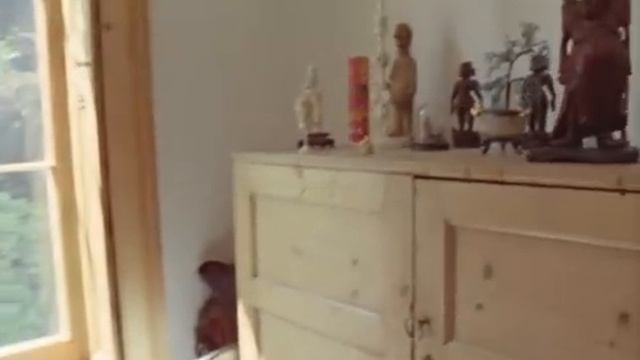 Песня  ISOLATION - John Lennon ( Plastic Ono Band 1970г.)