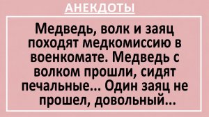 Медведь, волк и заяц походят медкомиссию в военкомате... | Анекдоты смешные | Юмор