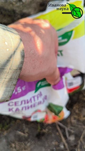 Подкормки и удобрения