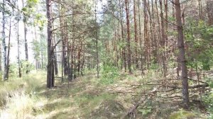 Встреча «сокола» в Жуковком районе. п. Тросна.