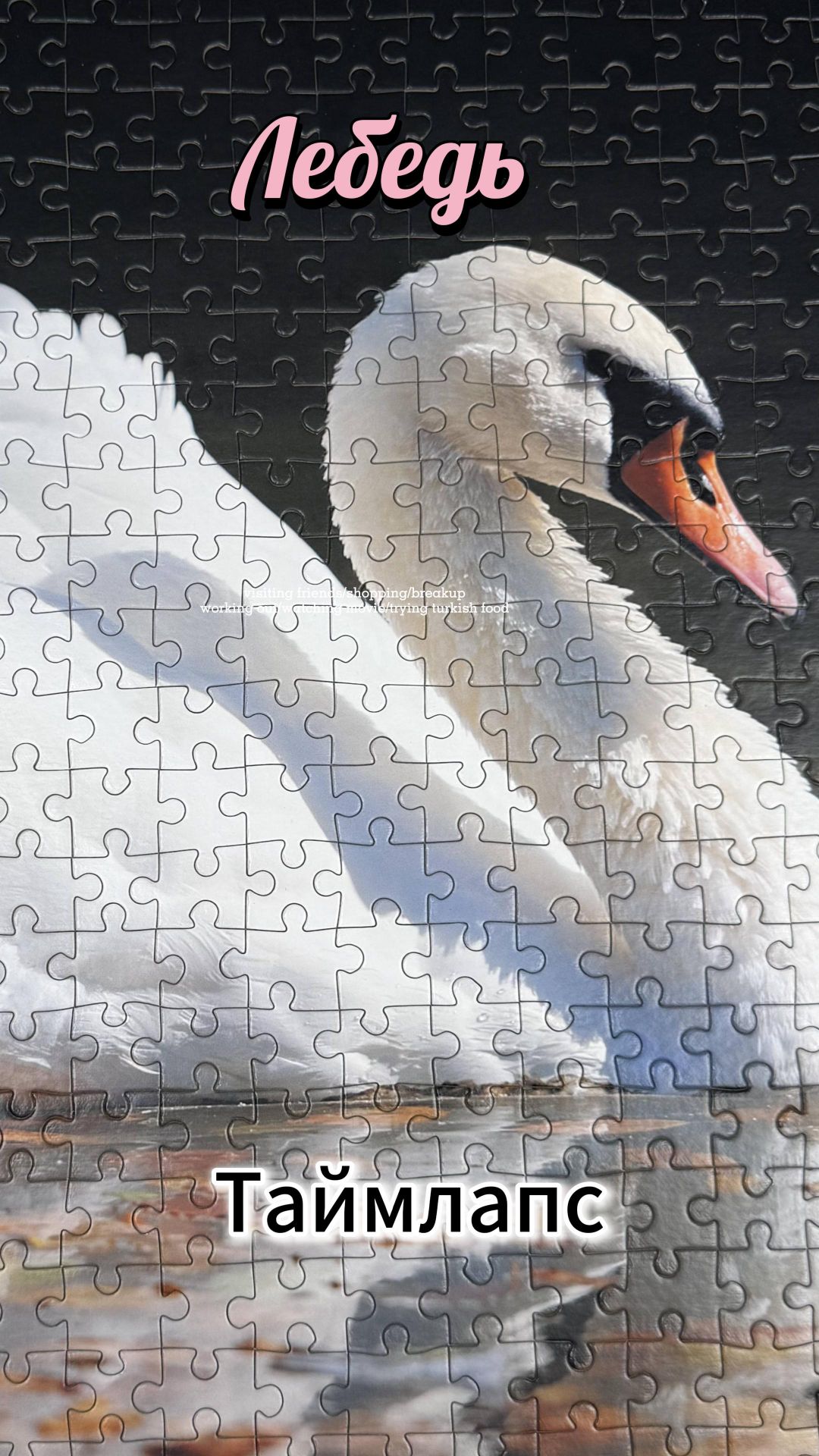 Сборка пазла Лебедь #dzen_hobby #puzzle #timelapse #shorts #antistress