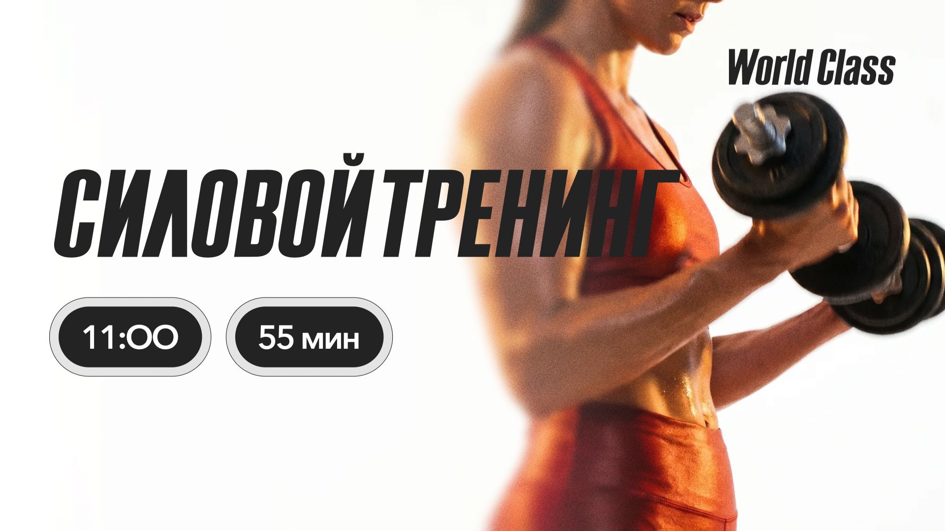 Cиловой тренинг