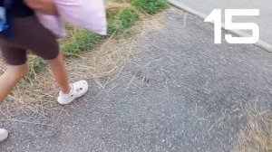 Панорамы - 2 сезон 7 серия