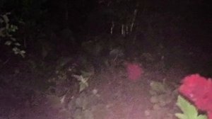 Еду Ночью В Очень Красивое Спокойное , Место, Моя Жизнь в Деревни 10-07-2026