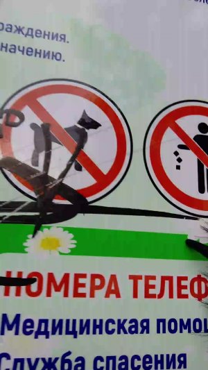 прогулка рапторы и квд