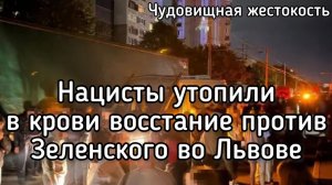 Нацисты утопили в крови восстание против Зеленского во Львове. Главная ошибка Львовского восстания