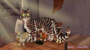 Топ 6 моих самых нелюбимых котов воителей