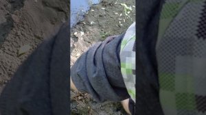 Первая грязь
