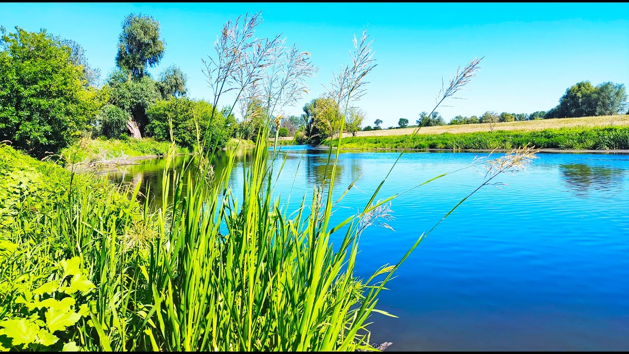 Река Уды,или Места Силы 30 лет спустя#river,#naturephotography ,#Journey смотреть онлайн