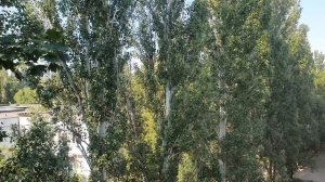 ДОБРОЕ УТРО ДРУЗЬЯ🤗🥰