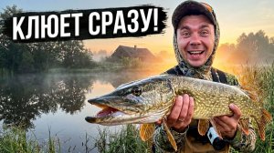 КЛЮЕТ СРАЗУ! Нашел тайный  пруд в ЗАБРОШЕННОЙ ДЕРЕВНЕ