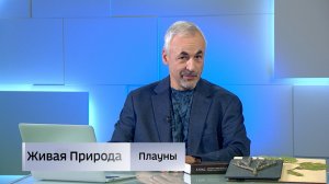 Живая природа. «Плауны»