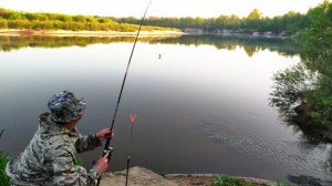 РЫБАЛКА НА ДОНКИ КРОКОДИЛ. ПОЙМАЛ ХОРОШИХ ЛЕЩЕЙ И ОГРОМНЫХ ГУСТЕР.
