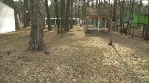 Число укушенных клещами воронежцев превысило полторы тысячи человек