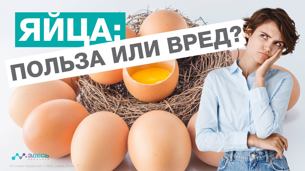 ЯЙЦА - польза или вред? смотреть онлайн