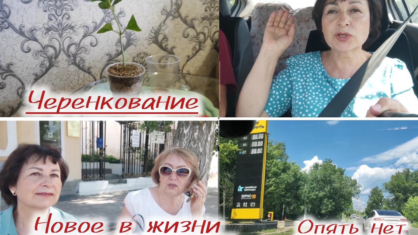Не заправились, репетиция, черенкование гортензии. смотреть онлайн