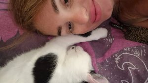 Алиса Неземная. КРИВАЯ,И ВЕТА... Я ВАС НЕ ЗНАЛА,И ЗНАТЬ БЫ НЕ ЖЕЛАЛА,НО..❗️А ПОДПМСЧИЦАМ МОИМ-ДОБРОГ