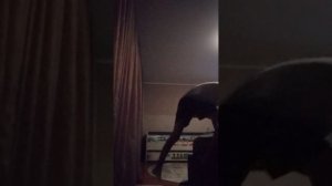фнаф 12 русская озвучка