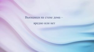 Вьющиеся на стене дома – вредно или нет