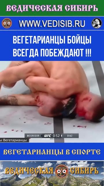 Вегетарианцы Бойцы Всегда Побеждают !!! смотреть онлайн