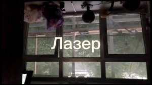 1000006835.mp4