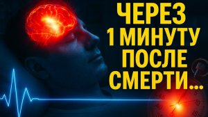 Что происходит с человеком через 1 минуту после смерти