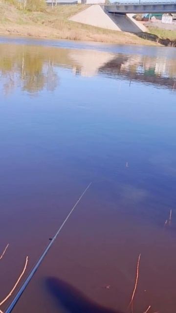 Рыбалка уклейка река Кострома