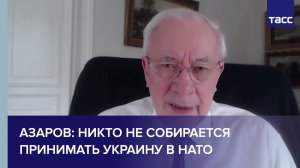 Азаров: никто не собирается принимать Украину в НАТО