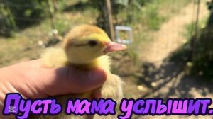 ❤️Вот такое утро/Вот так хозяйство/ Домашнии хлопоты