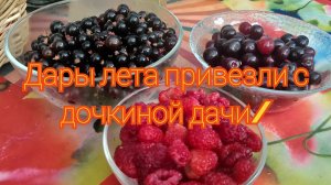 Дары лета привезли с дочкиной дачи/ Купила подарочек свëкру