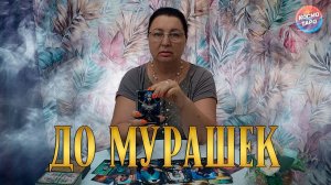 ДО МУРАШЕК! КАК ПОМЕНЯЛИСЬ ЕГО ЧУВСТВА К ВАМ? | Гадание таро расклад