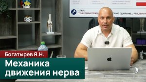 Механика движения нерва: почему важно работать не только с симптомом. Богатырев Я. Н.