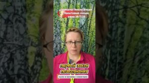 Первый закон подсознания эфир 10.7.26.mp4