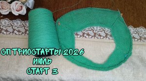 СП ТРИОСТАРТЫ 2026| ИЮЛЬ|СТАРТ 3|ДЖЕМПЕР ИЗ ПУХА НОРКИ