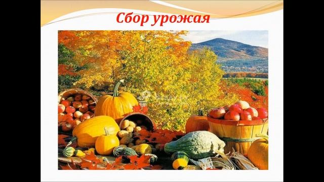 Музыкальный онлайн-клуб «До-ми-соль-ка»: «Музыкальные краски осени» смотреть онлайн