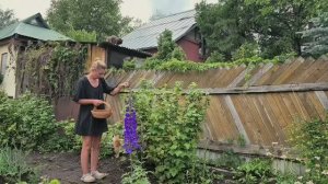 УЮТНОЕ ВРЕМЯ НА ДАЧЕ/ ПОХОД В ПОЛЕ НЕ УДАЧНЫЙ/ НАЧАЛИ СТРОИТЬ ТЕРРАСУ