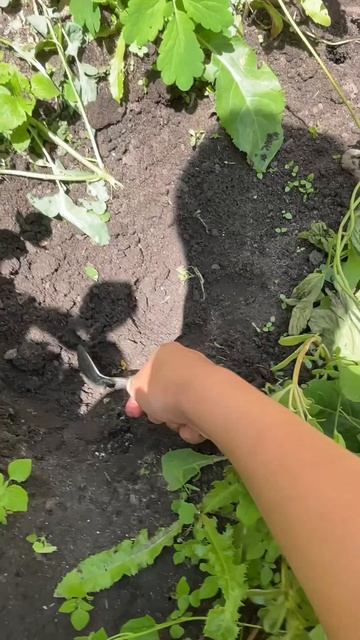 Копаем яму! День 17