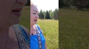 Обнуление-перезагрузка. #лайфкоуч #природа
