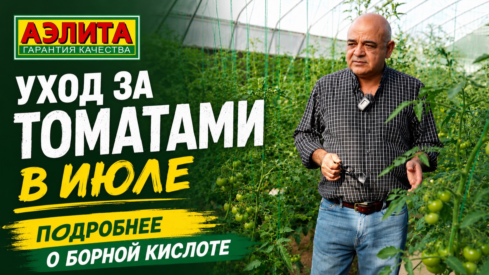 Томаты