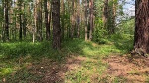 Разведка части маршрута для НЕмайской прогулки. Конный клуб – Новофоминский пляж – Конный клуб