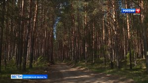 В лесах Кировской области ожидается высокая пожарная опасность
