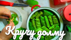 Долма каждый день.Готовлю Долма.