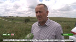 Живописные луга Долаково в Ингушетии рискуют остаться только на картинках