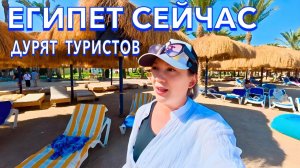 Египет 2025. НАЧАЛО на НЕРВАХ❗️ ОЧЕНЬ БЮДЖЕТНЫЙ. Первая линия. Zya Regina Resort 4*. Хургада