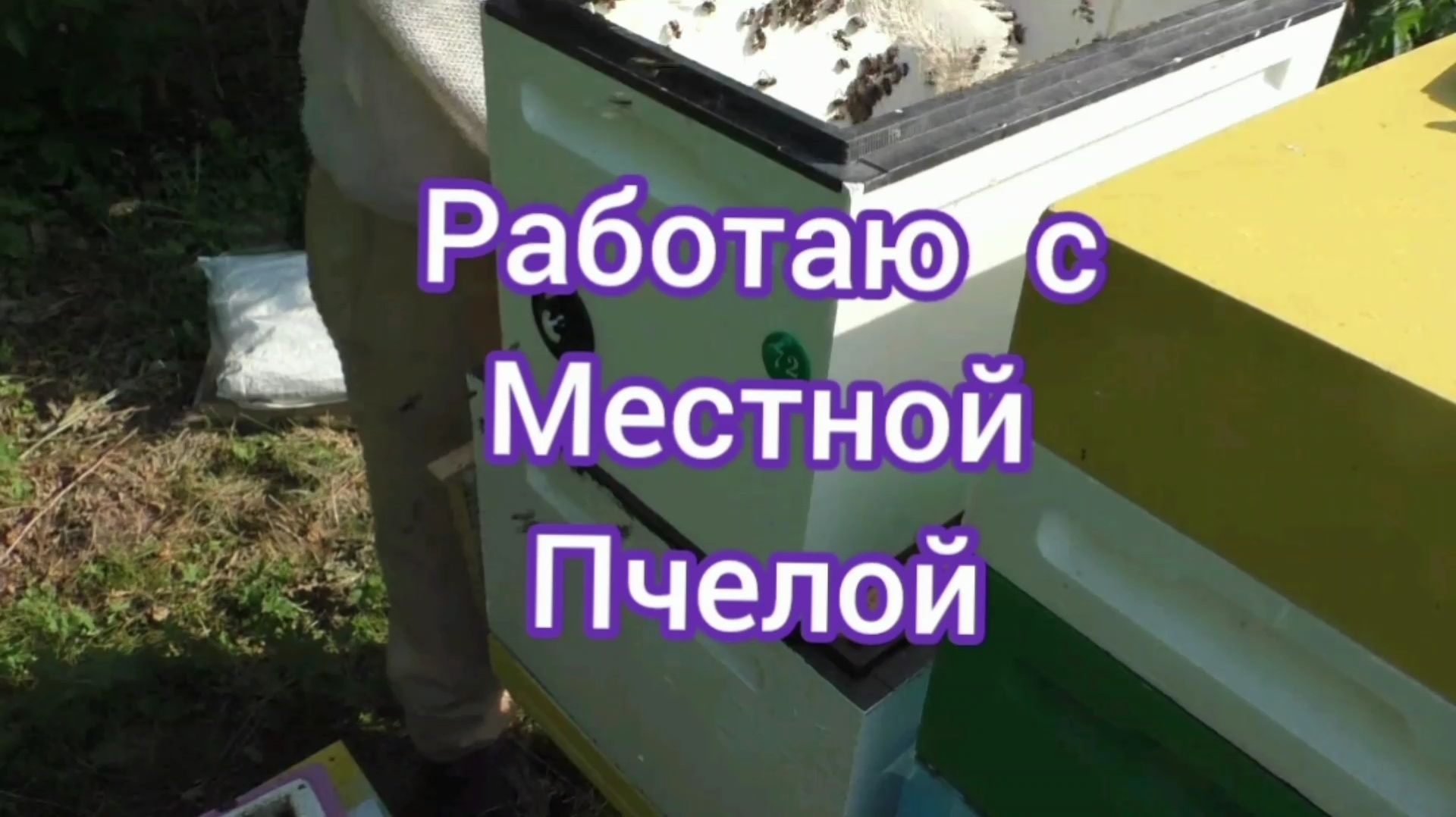 ОБЪЕДИНИЛА 6-ТИ РАМОЧНЫЙ ОБЛЁТНИК смотреть онлайн