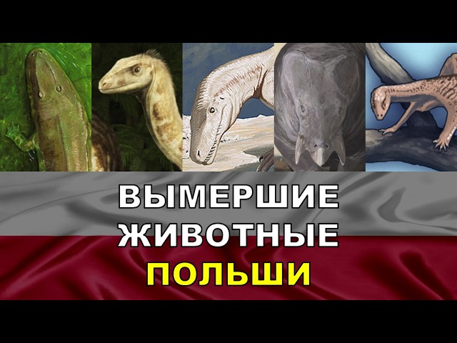 5 Вымерших Животных Польши | Вымершие Животные Разных Стран смотреть онлайн