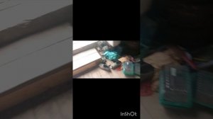 катаемся с Денчиком