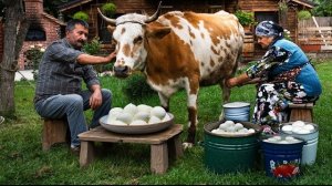 От свежего молока до сыра – традиционный кавказский рецепт 🧀🌿