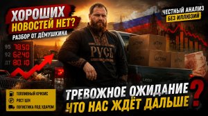 🚨 Кризис уже здесь? Топливо, экономика и реальность без иллюзий — говорит Дёмушкин